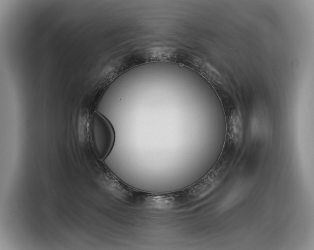 X0000116420522200912081506