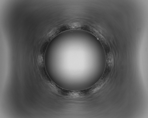 X0000116420523200912081506