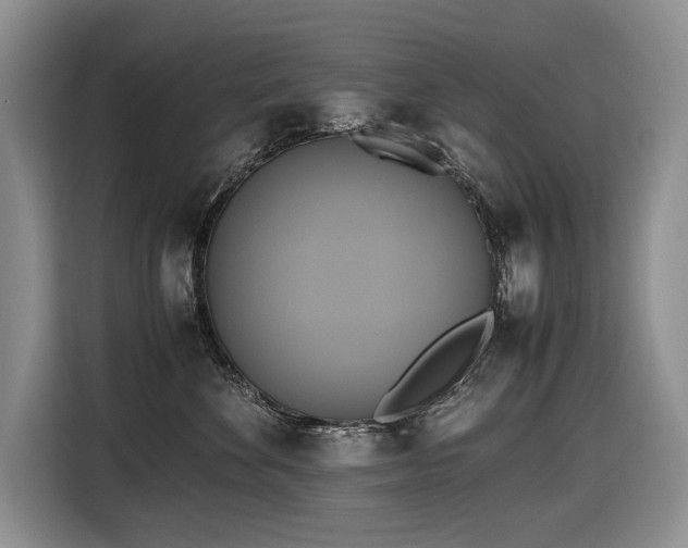 X0000116420524200912081506