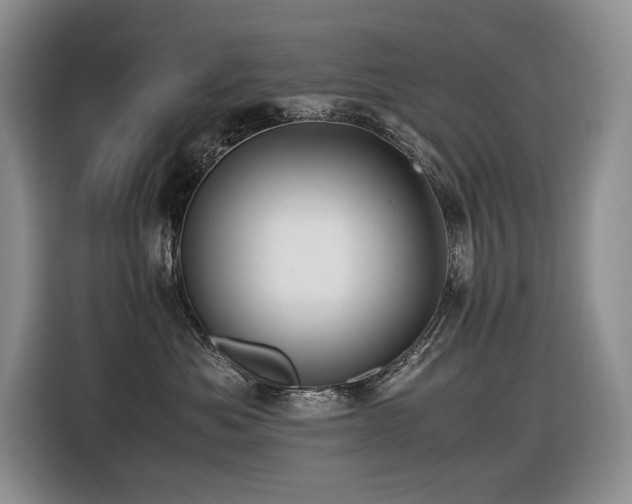 X0000116420525200912081506