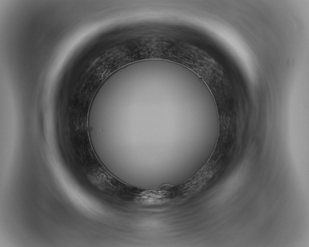 X0000116420526200912081506