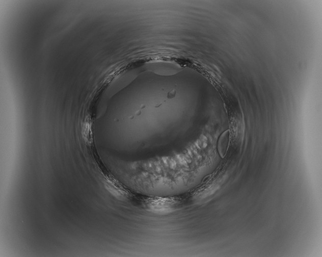 X0000116420527200912081506