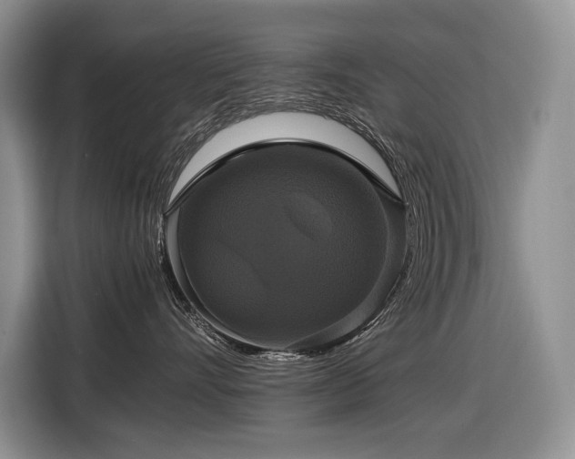 X0000116420528200912081506