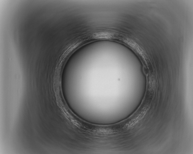 X0000116420529200912081506