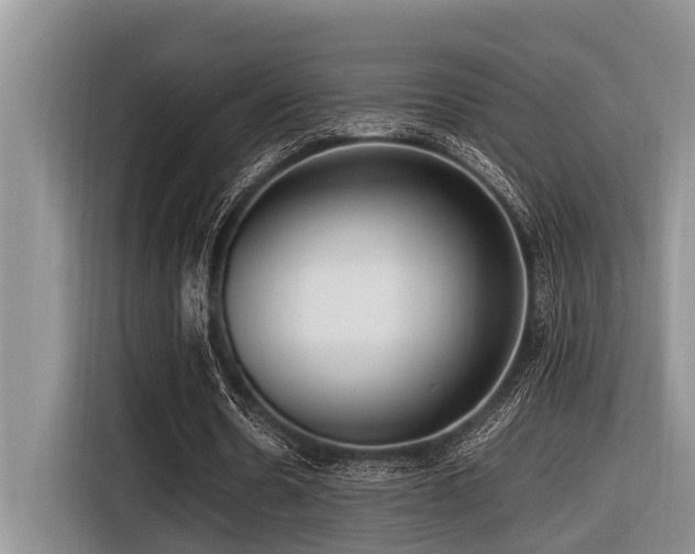 X0000116420530200912081506