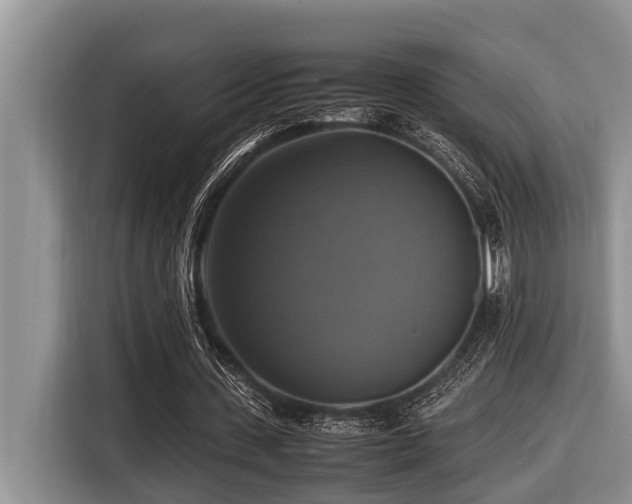 X0000116420531200912081506