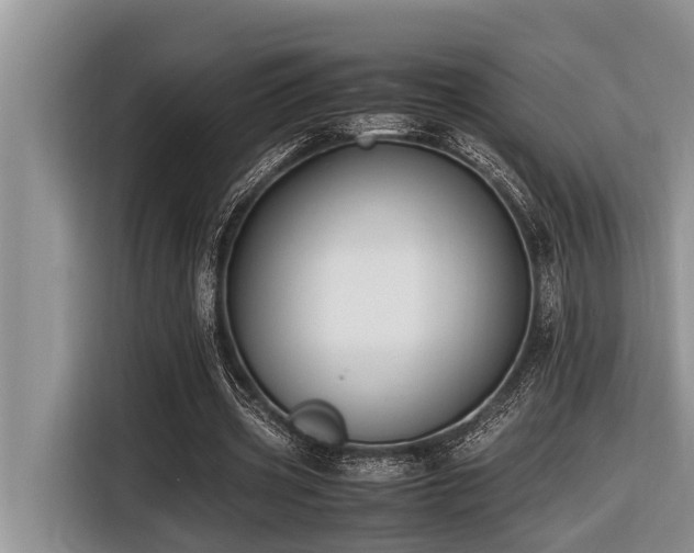 X0000116420533200912081506