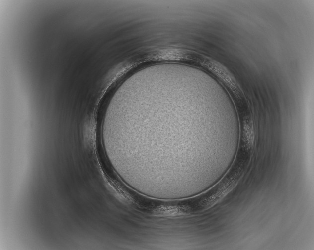 X0000116420534200912081506