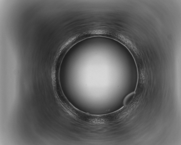 X0000116420535200912081506