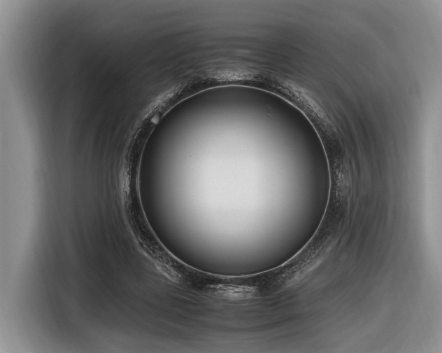 X0000116420539200912081506