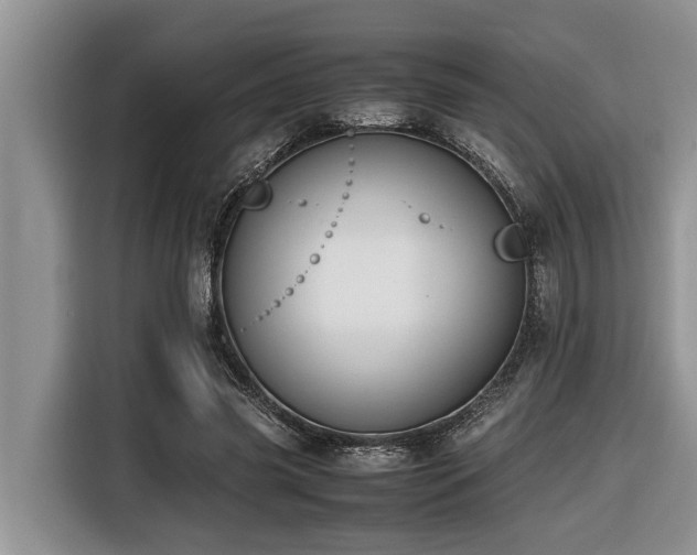 X0000116420541200912081506