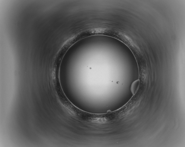 X0000116420543200912081506