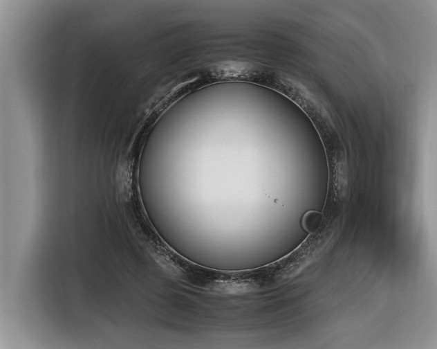 X0000116420545200912081506