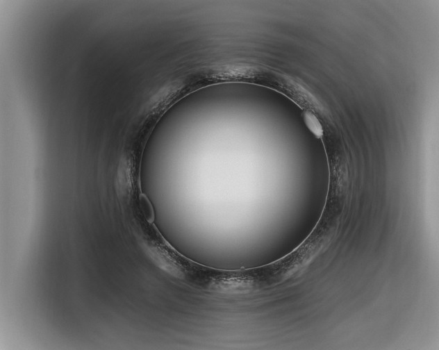 X0000116420546200912081506