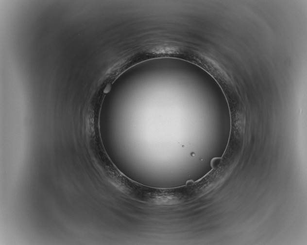 X0000116420547200912081506