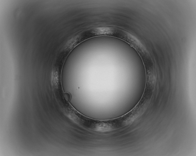 X0000116420549200912081506