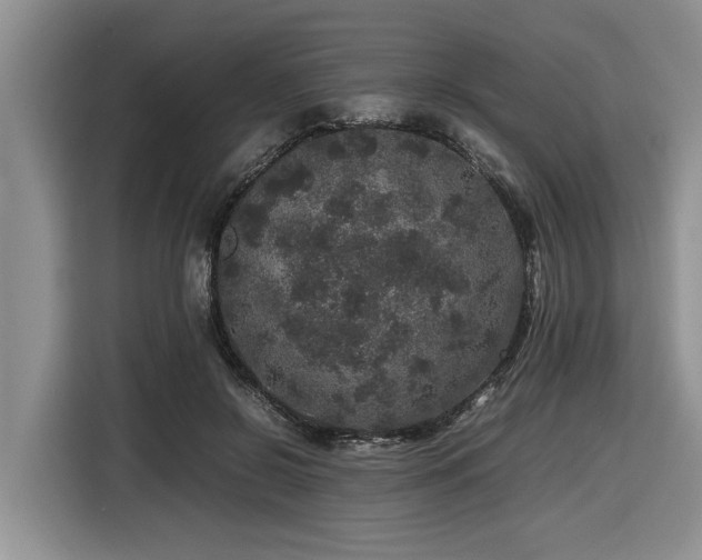 X0000116420550200912081506