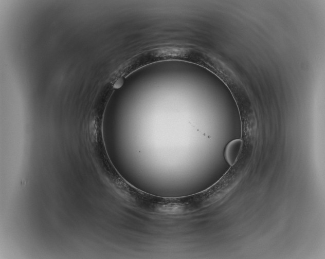 X0000116420551200912081506