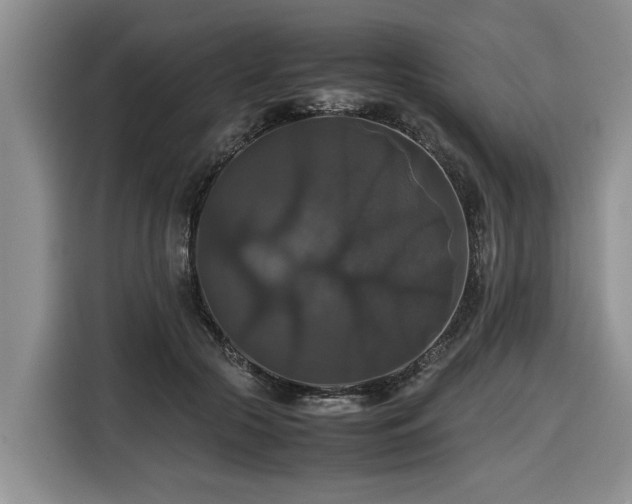 X0000116420553200912081506