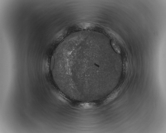 X0000116420558200912081506