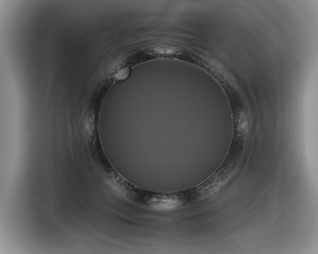 X0000116420559200912081506