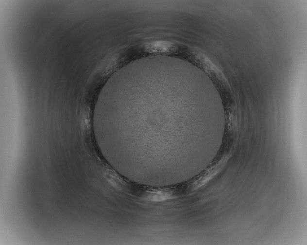 X0000116420561200912081506