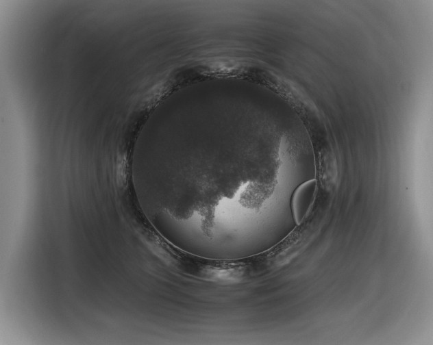 X0000116420563200912081506