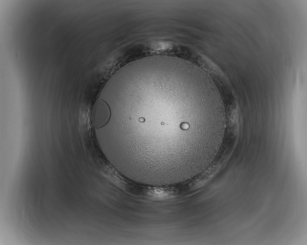 X0000116420565200912081506