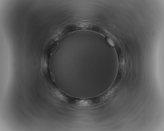 X0000116420566200912081506