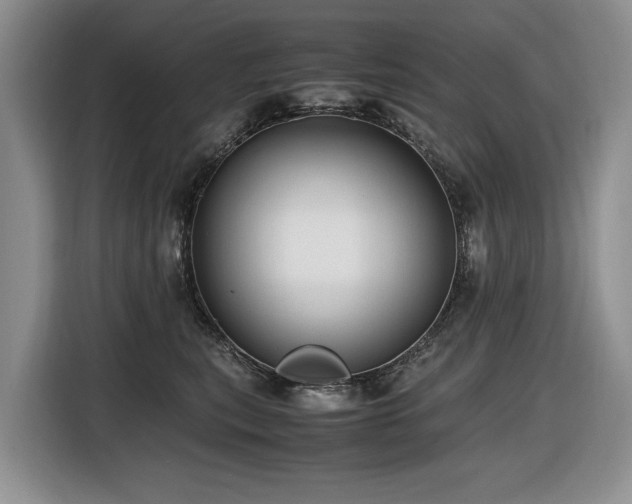 X0000116420567200912081506