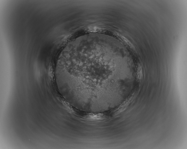 X0000116420569200912081506