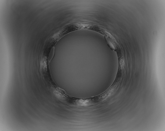 X0000116420570200912081506