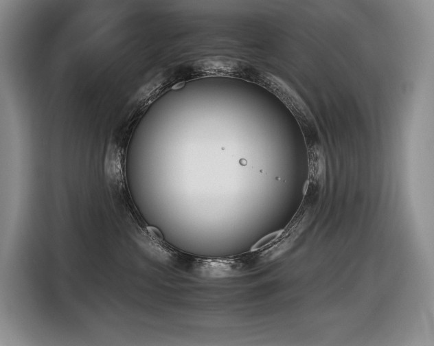 X0000116420573200912081506