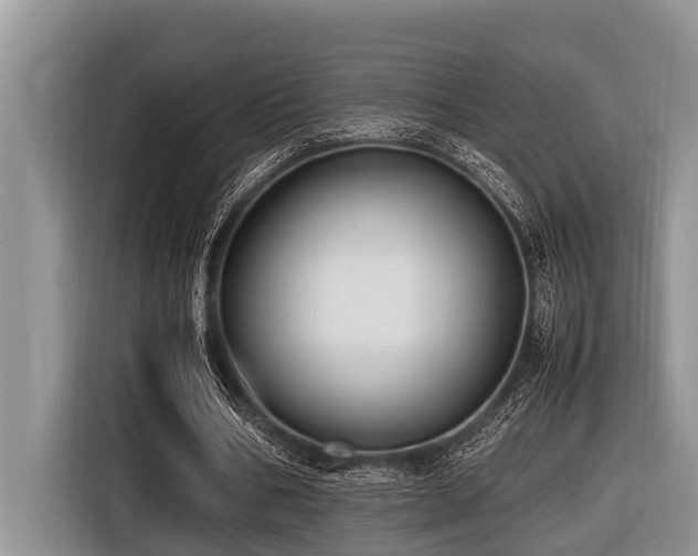 X0000116420578200912081506