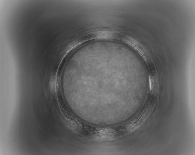 X0000116420579200912081506