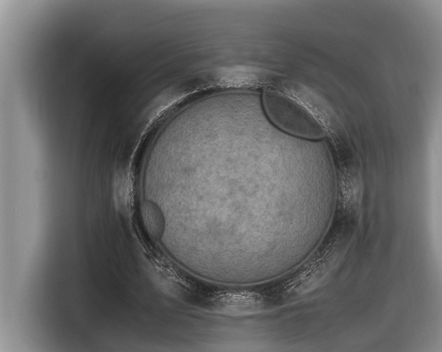 X0000116420583200912081506