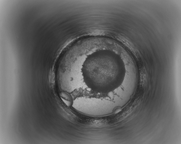 X0000116420584200912081506