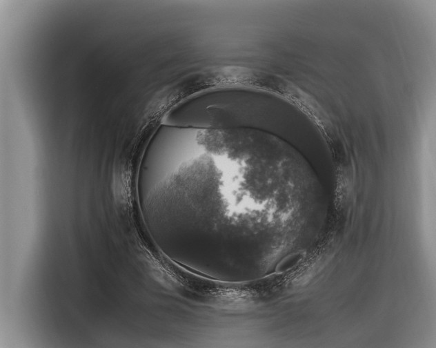 X0000116420585200912081506