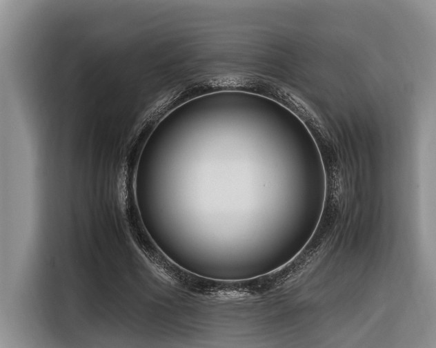 X0000116420586200912081506