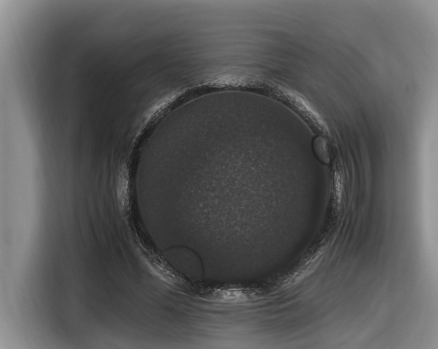 X0000116420588200912081506