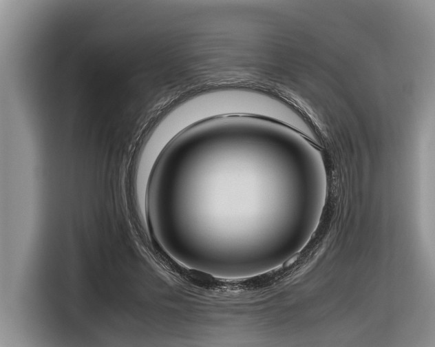 X0000116420589200912081505