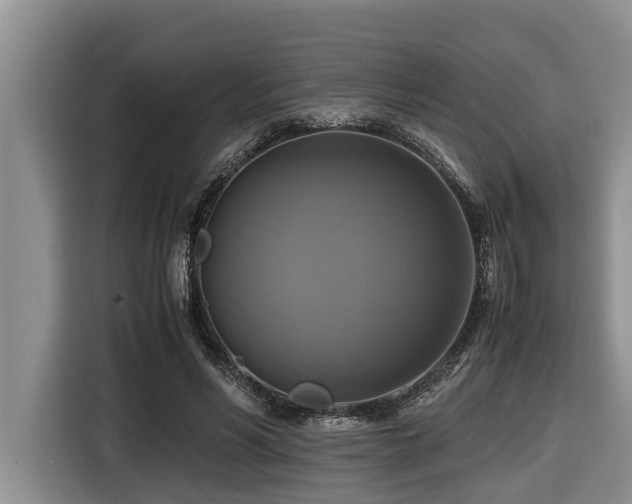 X0000116420590200912081505