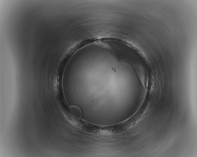 X0000116420592200912081505