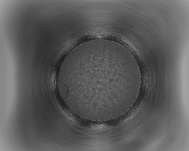 X0000116420594200912081505