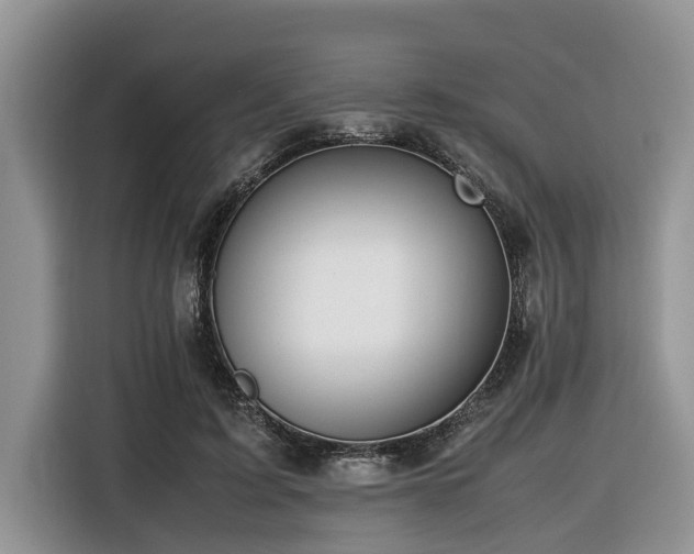 X0000116420595200912081505