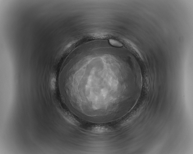 X0000116420596200912081505