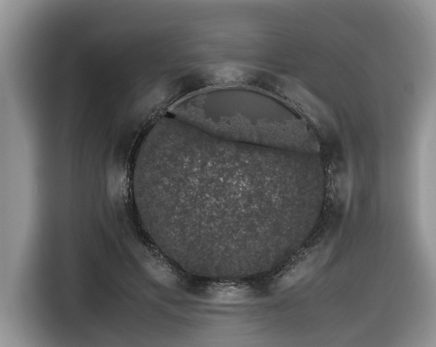 X0000116420597200912081505