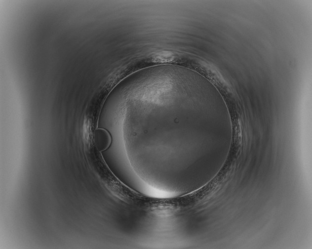 X0000116420598200912081505