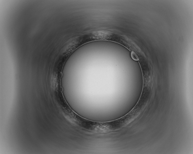 X0000116420599200912081505