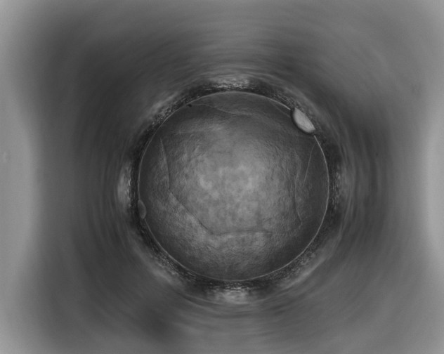 X0000116420600200912081505